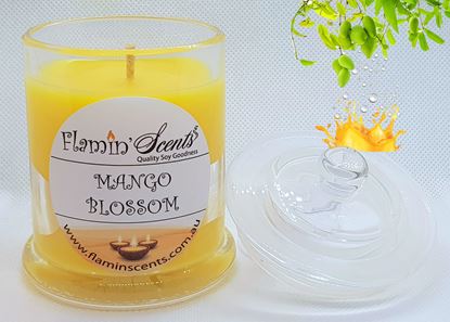 Picture of MANGO BLOSSOM CANDLE